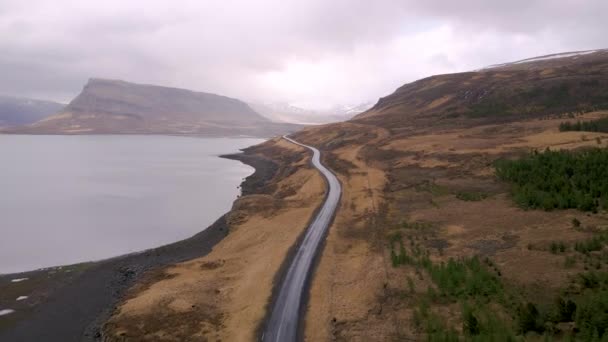 Road Islannissa Kohti Vuoria Antenni Drone Shot — kuvapankkivideo