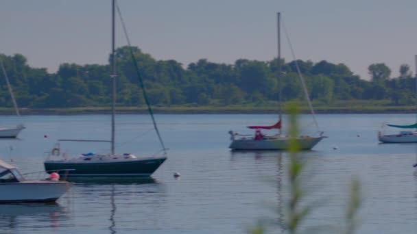Panning Shot Boats Water City Island New York Hart Island — Stock Video