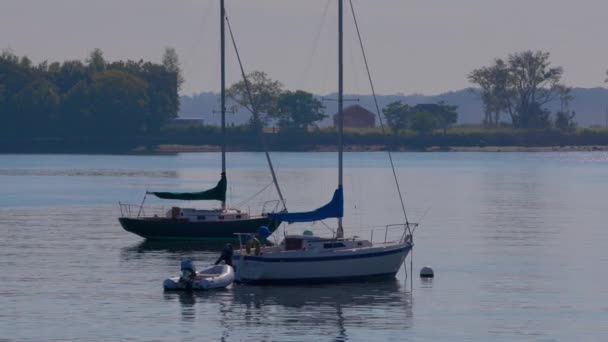 Boats Water City Island New York Hart Island Background — Stock Video