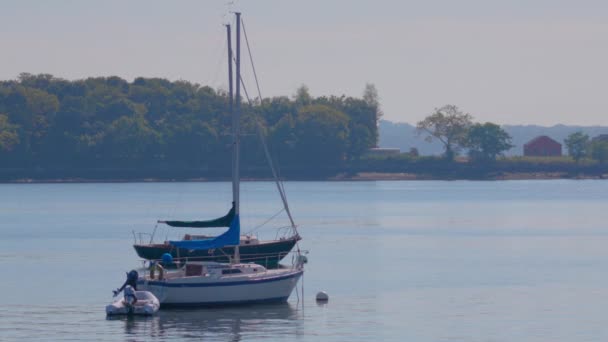 Bateaux Sur Eau City Island New York Avec Île Hart — Video