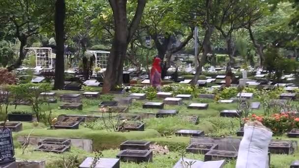 Pèlerins Dans Zone Cimetière Cimetière Karet Bivak Une Superficie Hectares — Video