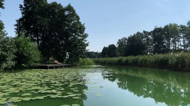 Rio Canoagem Águas Verdes Calmas Flutuando Por Nenúfares Pequeno Convés — Vídeo de Stock