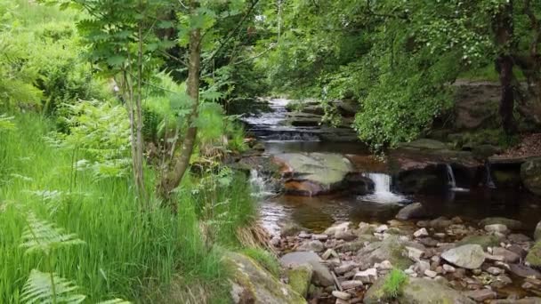 Drone Footage Slow Moving Peaceful Moorland Stream Derbyshire Peak District — Stock Video