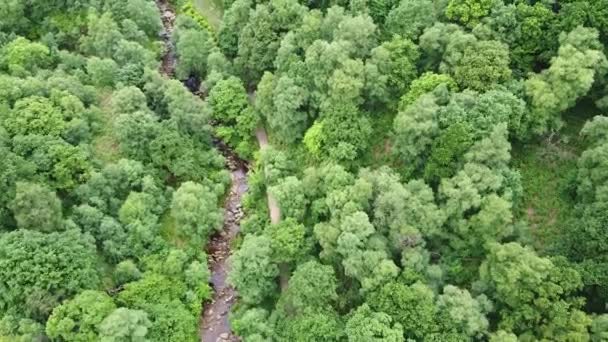 Drone Ariel Ponto Vista Derbyshire Peak District Bosques Pequeno Córrego — Vídeo de Stock