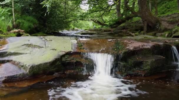 Relaxando Fluxo Floresta Movimento Lento Derbyshire Peak District Com Água — Vídeo de Stock