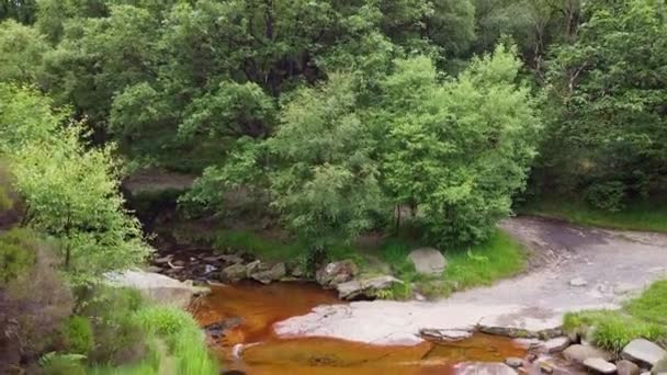 德比郡山顶地区一条蜿蜒的林地溪流的无人机镜头 水流过大大小小的岩石 被低空飞行的无人机击中 — 图库视频影像