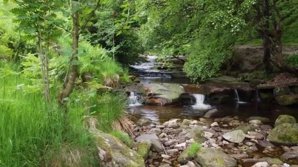 Klidný Vřesoviště Derbyshire Peak District Vodou Tekoucí Přes Malé Velké — Stock video