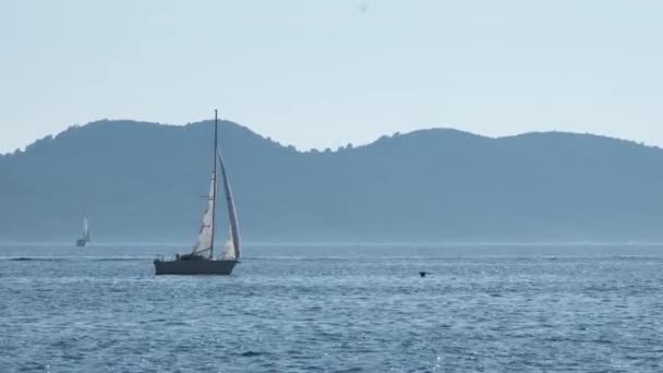 Sailing Adriatic Summer Fun — Stockvideo