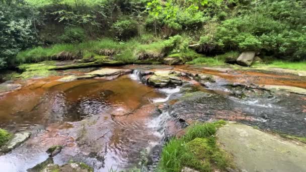 Fiume Lento Che Scorre Mostrando Acqua Che Muove Piccole Grandi — Video Stock