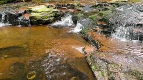 Lento Movimento Pacífico Charneca Córrego Com Água Fluindo Sobre Pequenas — Vídeo de Stock