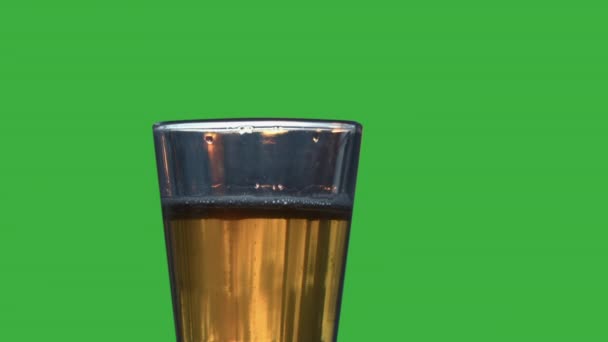 Bubbles Rise Glass Pale Lager Green Screen Background — ストック動画