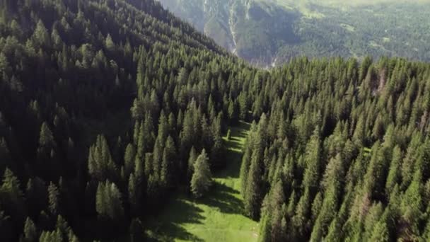 Kameradrohne Über Einer Wunderschönen Alpinen Landschaft Mit Wäldern Und Berggipfeln — Stockvideo