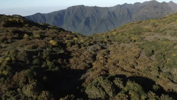 Aerial Backward Reveal Madeira Landscape Day — Stockvideo