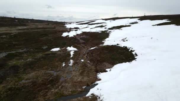 Woman Her Dog Walking Mountain Path Snow Right Hand Side — Video Stock