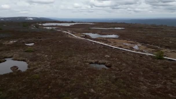 Eine Frau Und Ihr Hund Gehen Auf Einem Bergweg Mit — Stockvideo