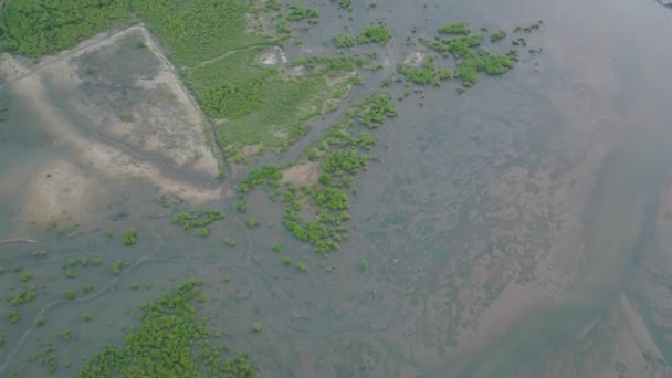 Slow Aerial Pan Cockle Bay Aberdeen Freetown Sierra Leone — Vídeos de Stock