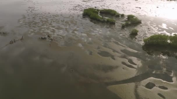 Aerial Flyover Dari Teluk Cockle Freetown Sierra Leone Selama Matahari — Stok Video