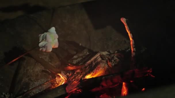 Roating Mashmallow Caramelo Calor Leña Mientras Acampa — Vídeos de Stock