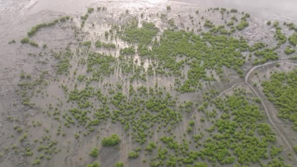 Slow Aerial Flyover Rising Tide Wetlands Just Freetown Sierra Leone — Vídeos de Stock