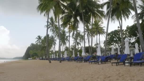 Luxury Beach Lounge Beds Umbrella White Sand Beach Beach Coconut — Vídeo de Stock