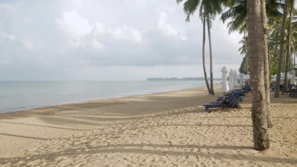 Πολυτελή Ξαπλώστρες Ομπρέλα Λευκή Αμμουδιά Παραλία Καρύδα Δέντρο Στην Ταϊλάνδη — Αρχείο Βίντεο