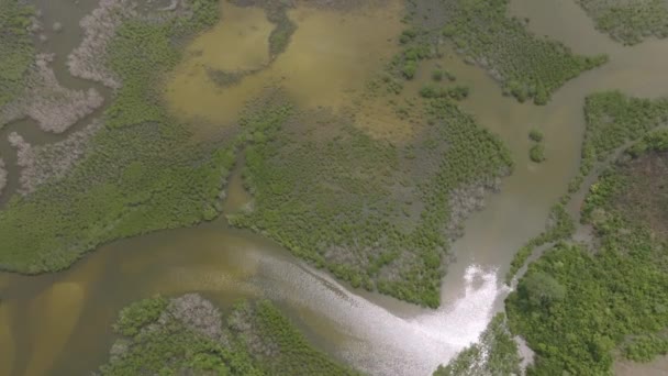 Voador Aéreo Lento Rio Que Atravessa Vegetação Serra Leoa África — Vídeo de Stock