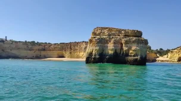 有海滩和海鸥的阿尔加夫岩层 — 图库视频影像