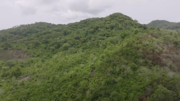 非洲塞拉利昂弗里敦以南茂密的青山的空中飞越 — 图库视频影像