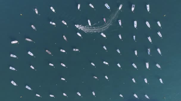 Flygbilder Små Båtar Som Seglar Genom Förankrade Båtar Utanför Neapel — Stockvideo
