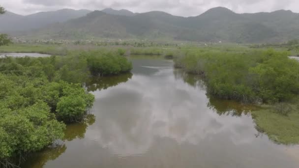 Sobrevoo Aéreo Rio Que Vai Para Oceano Com Montanhas Fundo — Vídeo de Stock