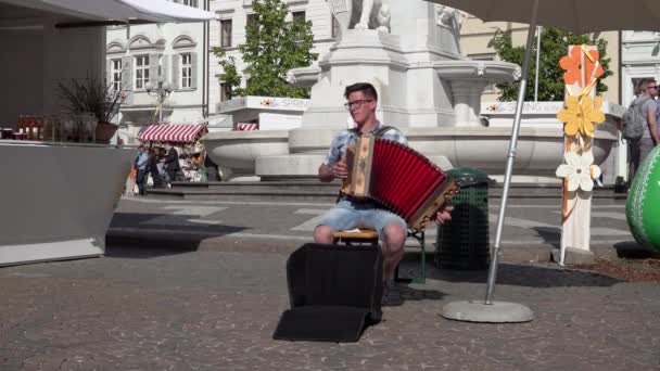 Acordeonista Que Actúa Público Durante Mercado Anual Pascua Bozen Bolzano — Vídeos de Stock