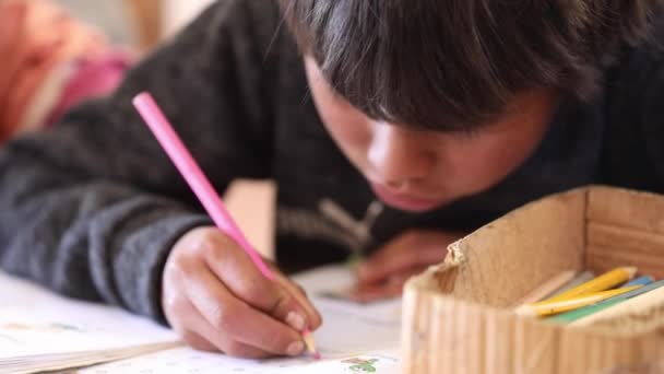 Niño Escuela Las Montañas Los Andes Bolivianos Escribe Libro Trabajo — Vídeo de stock