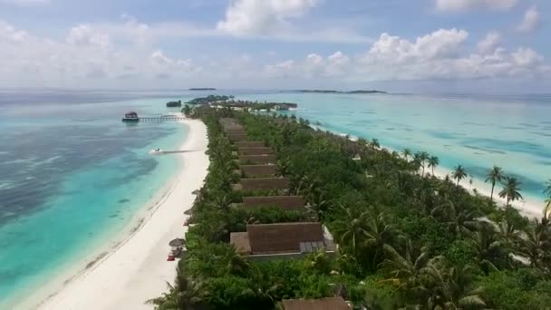 Беспилотник Летающий Над Полным Комплексом Вилл Джунглях Мальдивского Острова Full — стоковое видео