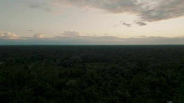 Aerial Shot Dense Forest Sunset Time — Stockvideo