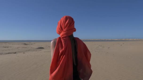 Wandern Der Unerträglichen Heide Der Sonne Der Wüste Marokkos — Stockvideo