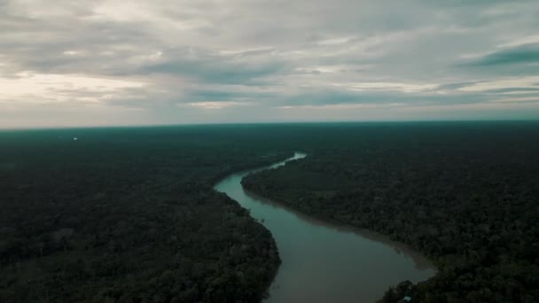 Aerial Panning Shot Amazon River Dense Forest River Flowing Horizon — Video Stock