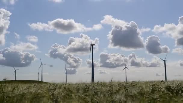 Численні Вітрові Турбіни Швидко Обертаються Зеленому Полі Запліднених Рослин Статичний — стокове відео