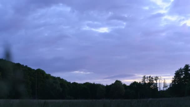 Static Time Lapse Field Surrounded Deciduous Trees Sunset Rural Germany — Video Stock