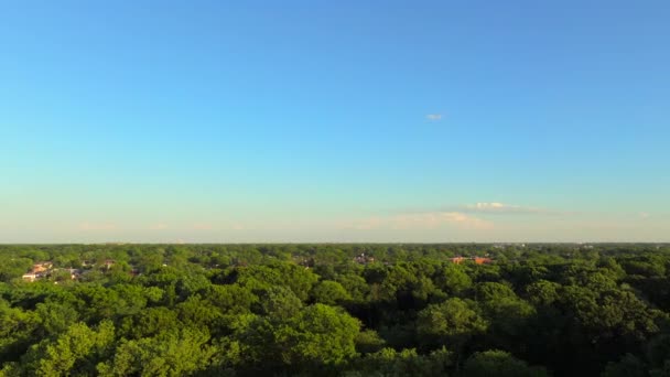 Güneşli Bir Günde Yeşil Ağaçların Tepesindeki Parkın Hava Manzarası Kamerası — Stok video