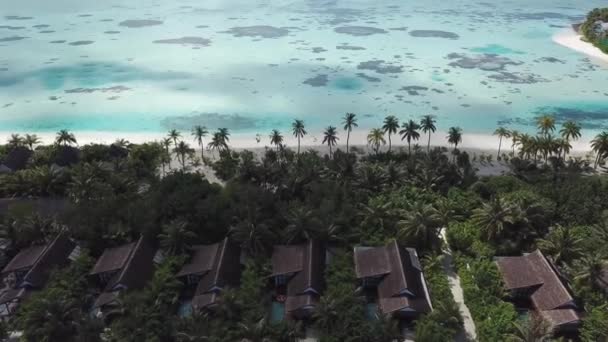 Tropisk Drönarkamera Rör Sig Ner Med Paradisutsikt Över Havet Och — Stockvideo