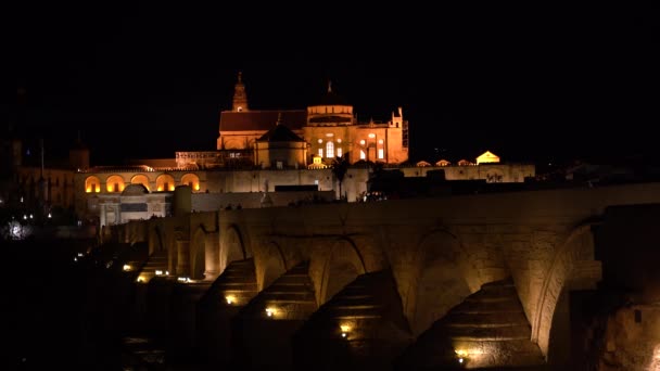 Prachtige Romeinse Brug Mezquita Cordoba Spanje Nachts Verlicht — Stockvideo