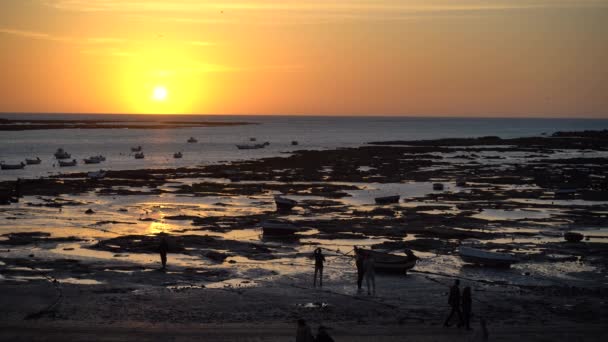 Low Tide Beach People Silhouettes Sunset — Video Stock