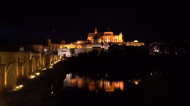 Szeroki Otwarty Widok Rzekę Most Rzymski Mezquita Nocy Kordobie Hiszpania — Wideo stockowe