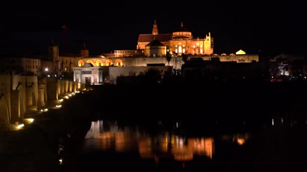 Beautiful Night View Mezquita Roman Bridge Cordoba Spain — Video