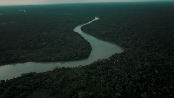 Aerial Shot Amazon River Surrounded Dense Forest Amazon River Brazil — Video Stock