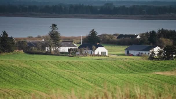 Casas Rurales Graneros Costa Danesa Están Rodeados Exuberantes Prados Cámara — Vídeos de Stock