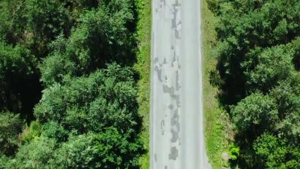 Tiro Aéreo Carro Movendo Uma Pista Estrada Uma Floresta Luscious — Vídeo de Stock