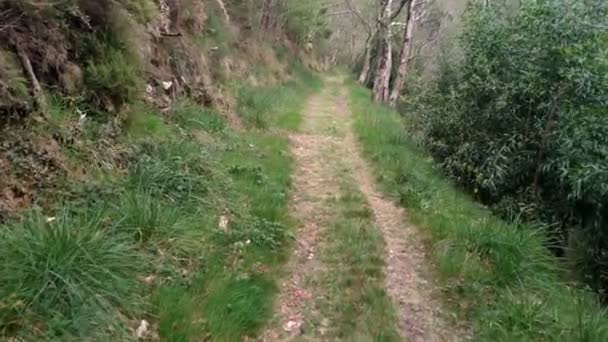 Dirt Path Grass Hiking Trail Mighty Sor River Beginning Spring — Wideo stockowe
