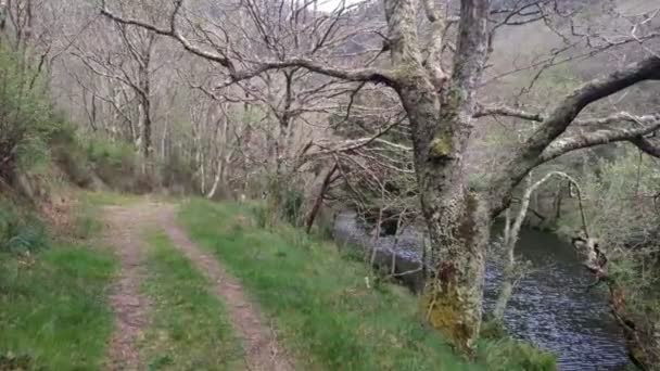 Walking Hiking Trail Oak Trees Sor River Spring Bright Day — Vídeo de stock