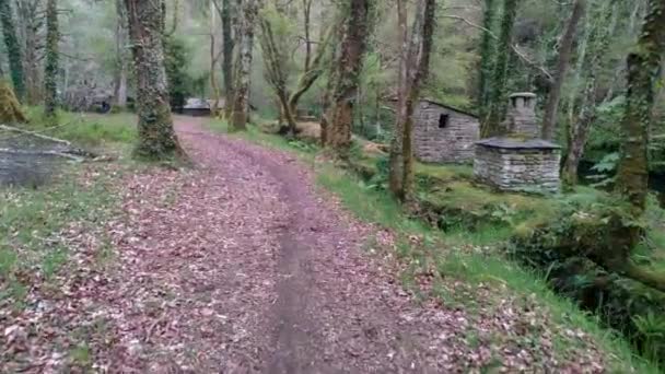 Paseo Herboso Bajo Roble Con Las Cabañas Montaña Ruta Senderismo — Vídeos de Stock